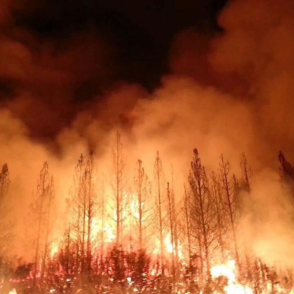 Incendie au Parc Yosemite, 2012. Auteur : Ministère de l’Agriculture des États-Unis. Attribution 2.0 Generic (CC BY 2.0).