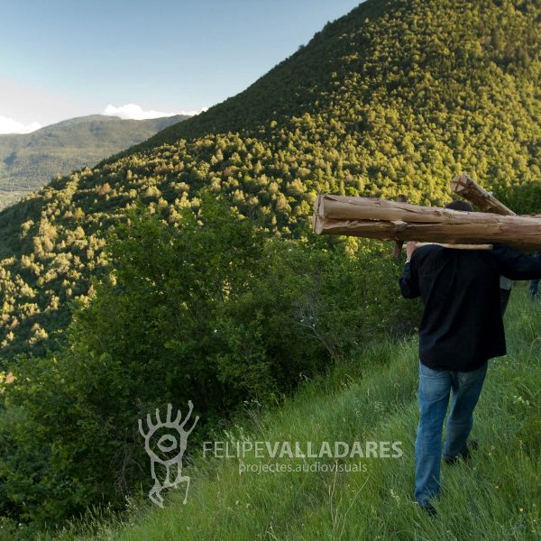 Carregant el tronc a Isil, Pallars Sobirà, Catalunya, 2009. Fotografia Felipe Valladares