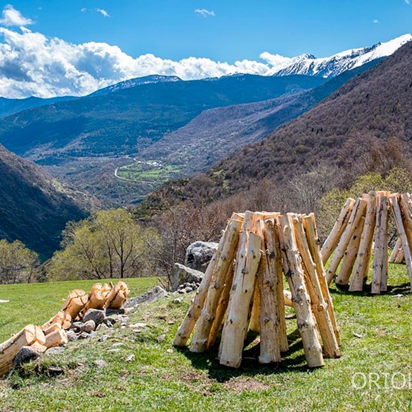 002 Les falles d'Isil assecades a Lapre, Pallars Sobirà, Catalunya, 2016. Fotografia: Oriol Riart
