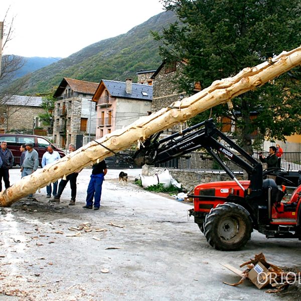 Plantant la falla major a Isil, Pallars Sobirà, 2011.Fotografia: Oriol Riart